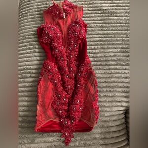 Elegant Red Embellished Dress